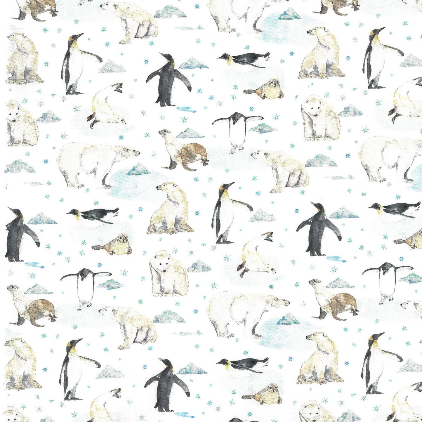 Polar Friends 010503166